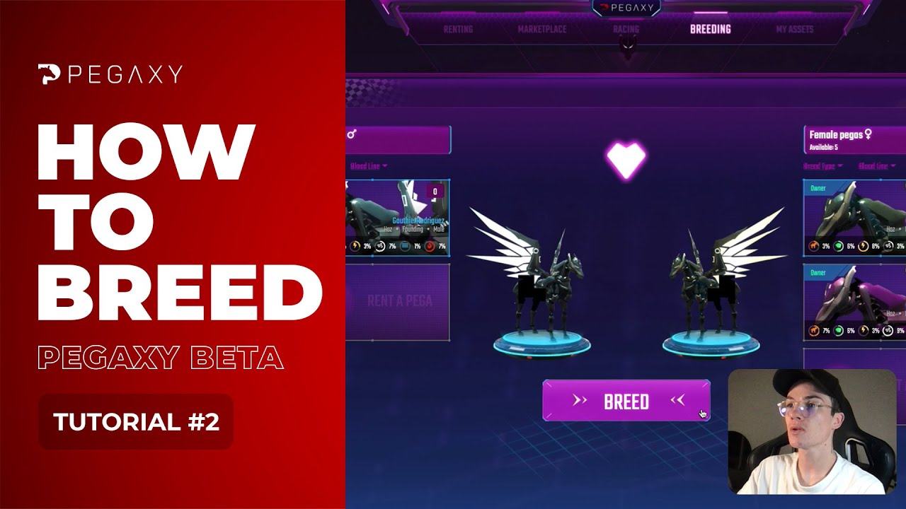 Beta Breeding - Tutorial #2 | Pegaxy Beta