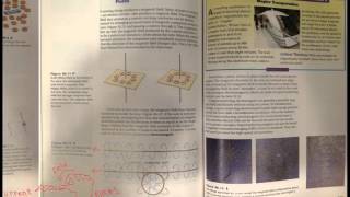 Famous Ch 36 Magnetism & Electromagnetism Net Worth