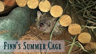 Setting Up My Tenrec's Summer Cage! || Madagascar Lesser Hedgehog Tenrec Cage