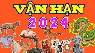 Vận Hạn của 12 Con Giáp trong năm 2024 chi tiết - Vận Hạn 2024 #vận #hạn