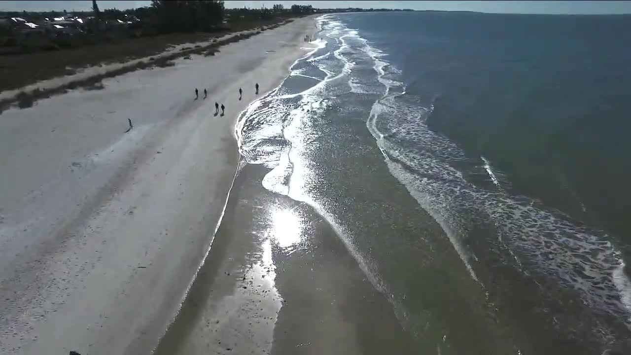 Man bitten by a shark off coast of Anna Maria Island - YouTube