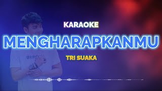 Mengharapkanmu Karaoke - Tri Suaka | KaroKoe Musik
