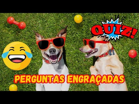 QUIZ PERGUNTAS ENGRAÇADAS 