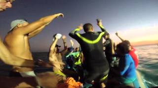 Cant Do Without Wind, Kitesafari Red Sea