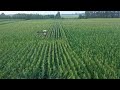 GLOBALink | Drones used in central China to carry out artificial maize pollination