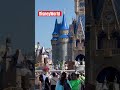 Disney Magic Kingdom #disney #disneyworld#toddlers