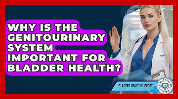 Why Is the Genitourinary System Important for Bladder Health? | Bladder Health Support News