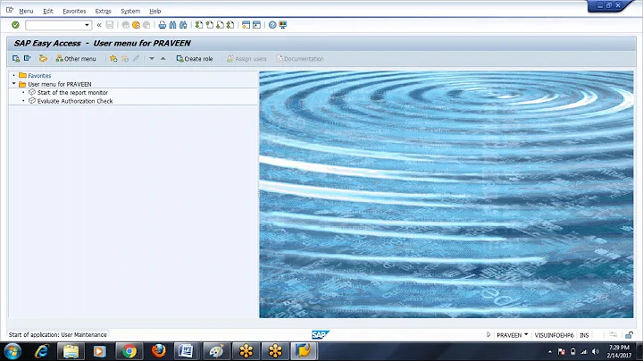 Day 5 - Profile & Role Concept in SAP