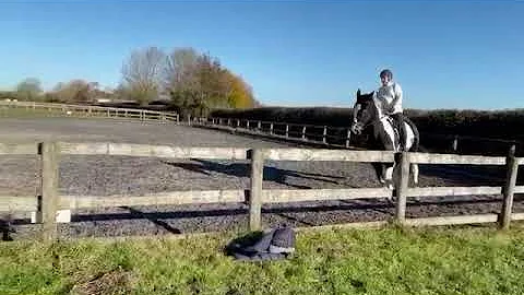 Julie Rowley on Marley winner of NWSC November onl...