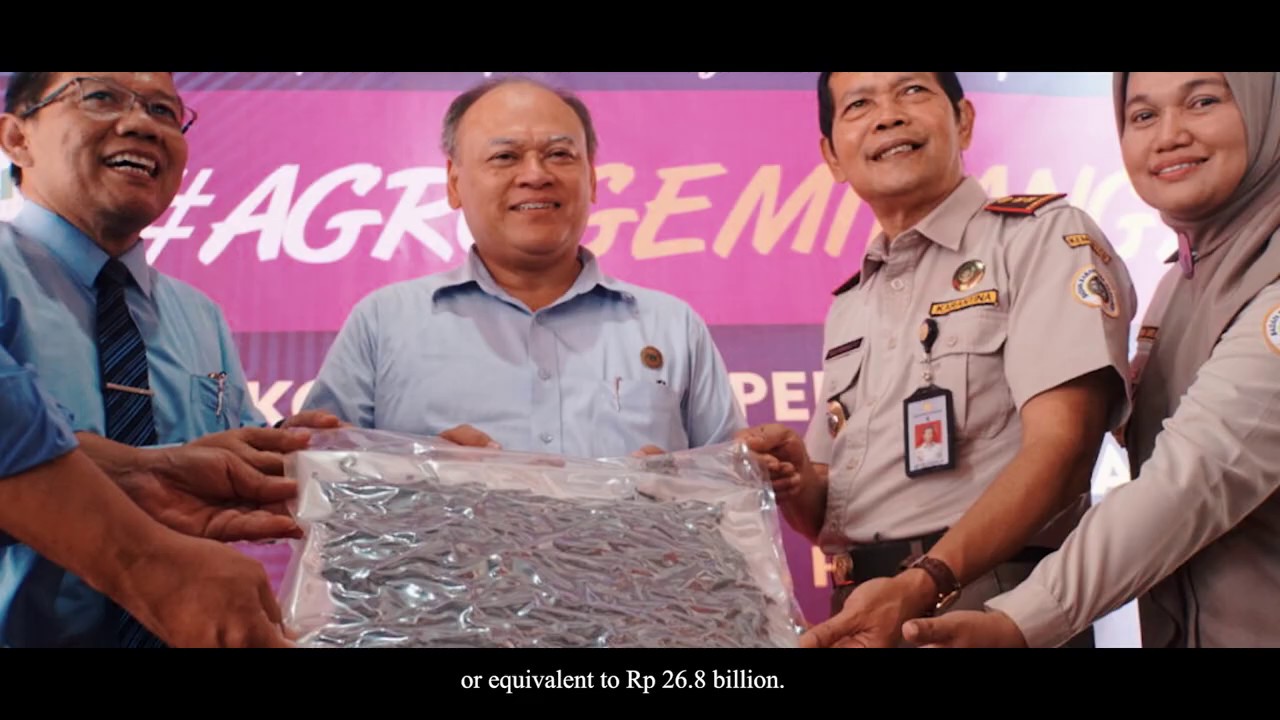 Inovasi Desa Rawajitu Selatan : Pemanfaatan Pekarangan Rumah Untuk