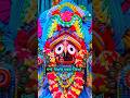 Jagannath Bhajan🙏🙏 #rathayatrasong #odiabhajan #shorts