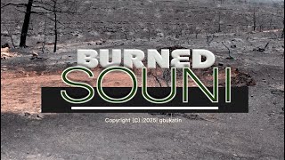 Burned Souni. Catastrophic consequences of fires in Cyprus 2025