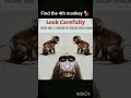 find the 4th monkey 🐒 🙈 🙊? #funny #comedy #laugher #laughing #memes