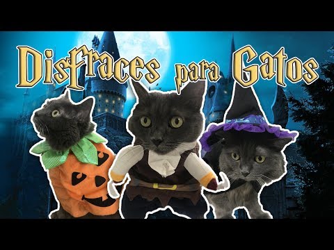 DISFRACES DE  HALLOWEEN PARA GATOS / MASCOTAS !