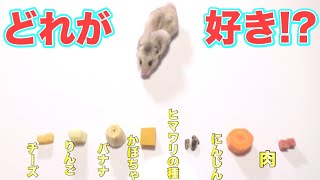 ハムスターが一番大好きな食べ物って何！？