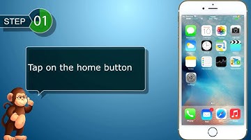 TURN Data Roaming On or Off  for Apple  I-Phone smart phones user guide support
