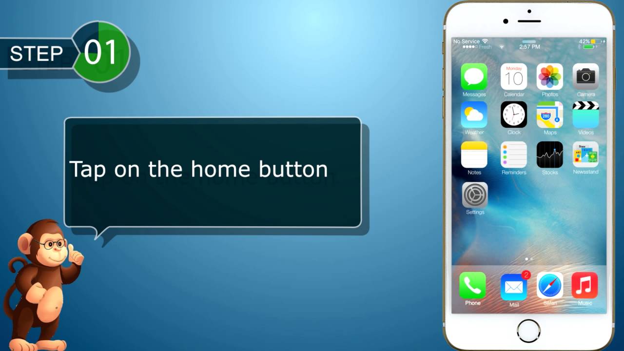 TURN Data Roaming On or Off for Apple IPhone smart phones user guide