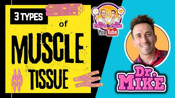 Muscle Tissue | Skeletal, Cardiac, and Smooth