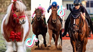 The Cutest HORSES Equestrian TikTok Compilation #149