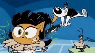 T.u.f.f Puppy - Theme Song Dutch, V2