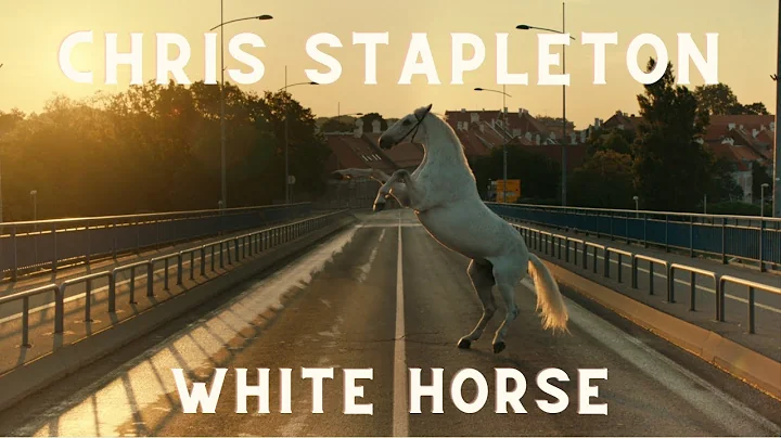 Chris Stapleton - White Horse (Unofficial Music Video)
