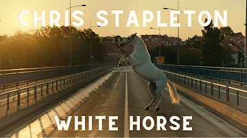 Chris Stapleton - White Horse (Unofficial Music Video)