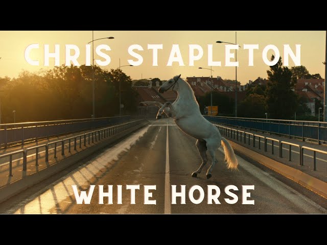 Chris Stapleton - White Horse (Unofficial Music Video) class=