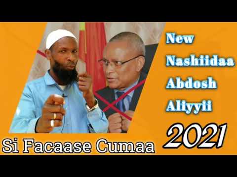 Ergaa Ajaa Ibaa Ifkeessaa Qabdi Viidiyoon Sheek Abdoosh Tun Mee Daawwaadhaa