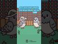 Staying Friends After The Breakup рџђ Birdie Couple Original Video Under Studio X Simonnicolaas Staying Friends After The Breakup рџђ Birdie Couple Original Video Under Studio X Simonnicolaas