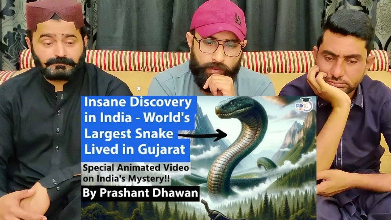 Insane Discovery In India World s Largest Snake Lived In Gujarat Vasuki insane-discovery-in-india-world-s-largest-snake-lived-in-gujarat-vasuki