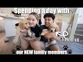 Living with 2 PUPPIES for 24 hours | Parenting 101