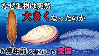 【ゆっくり解説】エディアカラ生物群～地球最古の動物たち～