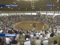 Бычьи бои в Японии / Bullfighting in Japan
