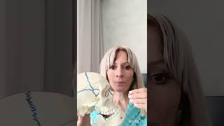Стоп отек. Отеки .Причины формирования и борьба с ними