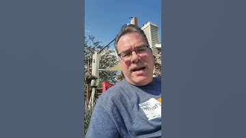 Getting Started with a Word Wall in OpenSciEd | Pedagogy on Deck