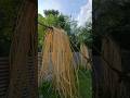 Beautiful Cane Hanging Light Manufacturing Complete Process #shorts