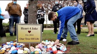 Port Richmond boy who received life-saving heart transplant has tree dedicated to him at SIUH