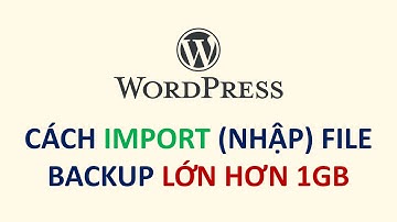 Sử dụng All-in-One WP Migration Unlimited để import file backup lớn hơn 1GB
