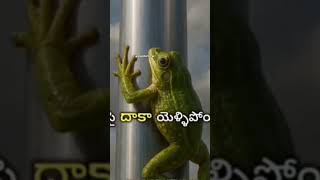 inspirational speech with megastar chiranjeevi#whatsapp_status #youtubeshorts