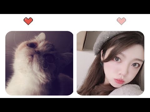 小黄瓜 ASMR - 听着听着你手机震了