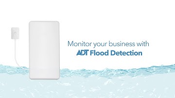 Flood Monitoring System - ADT Flood Detection for Business