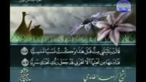 16  الشيخ سعد الغامدى تلاوه خاشعه وصوت حزين المصحف المرتل ابو عبدالله قناة امواتنا غفر الله لهم