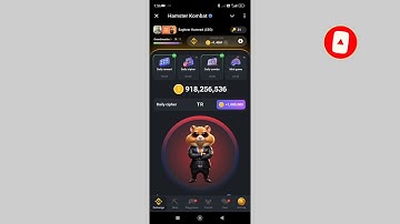 25 August Hamster Kombat Daily Cipher Code Today🤗