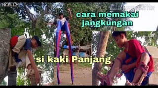 Cara memakai jangkungan / Enggrang kaki panjang #YoutubeShorts