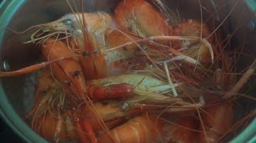 Tôm càng xanh hấp nước dừa siêu ngon