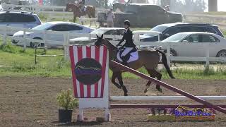 195S Kylie Quint on Tahoe's Prize DF  Intro Show Jumping Ram Tap February 2022
