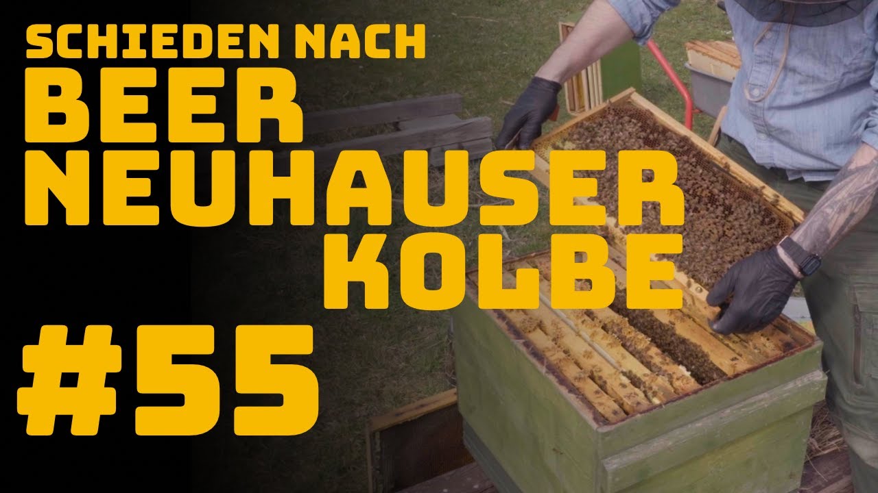 #55 Angepasster Brutraum nach Beer, Neuhauser, Kolbe - wo bin ich falsch ABGEBOGEN?