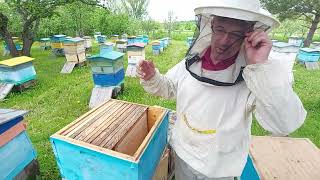 Пчеловодство №126 Разовое расширение семьи, в непогожий год.