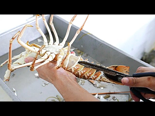 Vietnamese Street Food - LIVE LOBSTER Fried in Tamarind Sauce Vietnam | Travel Thirsty