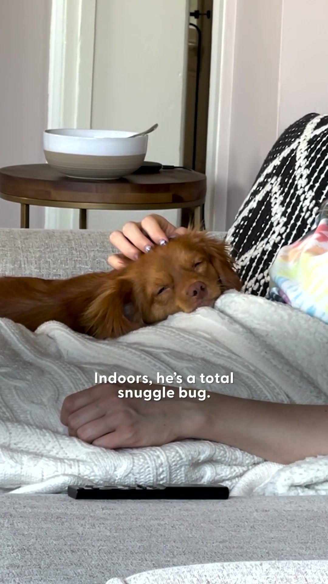Think You Can Guess This Dog's Breed Mix? | The Pack